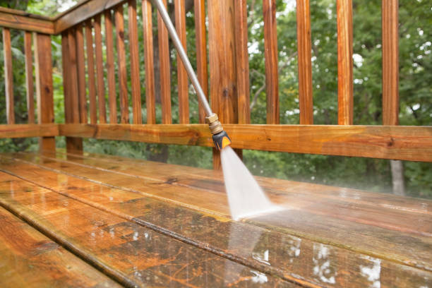 Best Soft Washing  in Ridgebury, CT